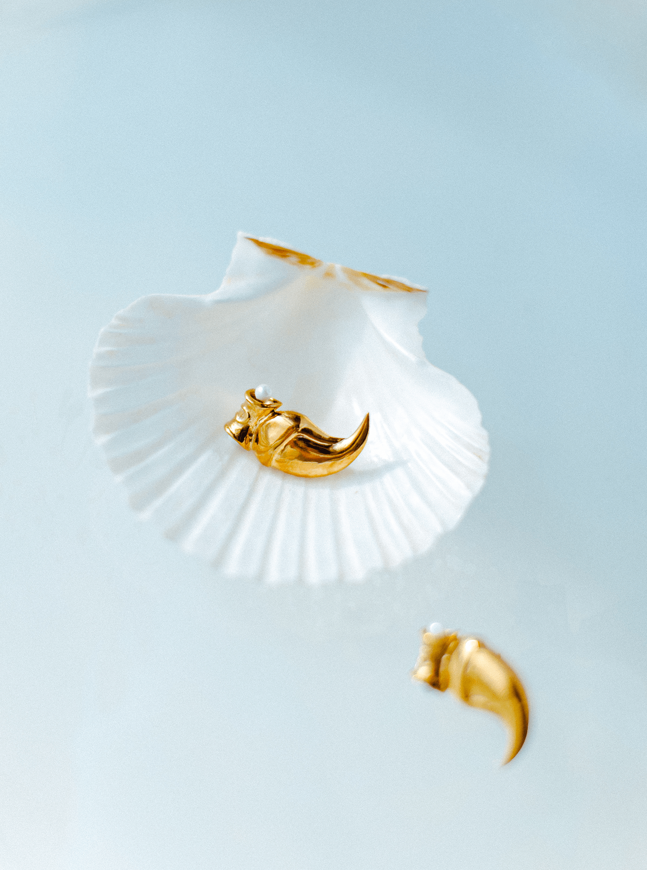 Lion's Claw Earrings - MISHO - Earrings