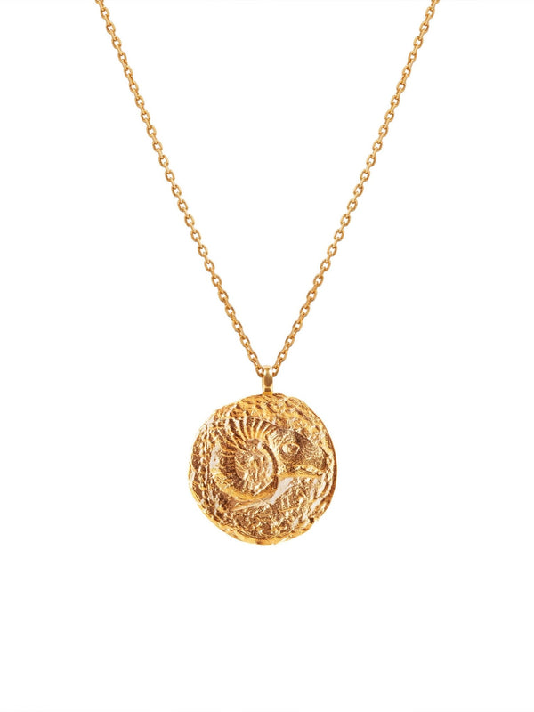 Zodiac Medallion 30mm - MISHO - Mens